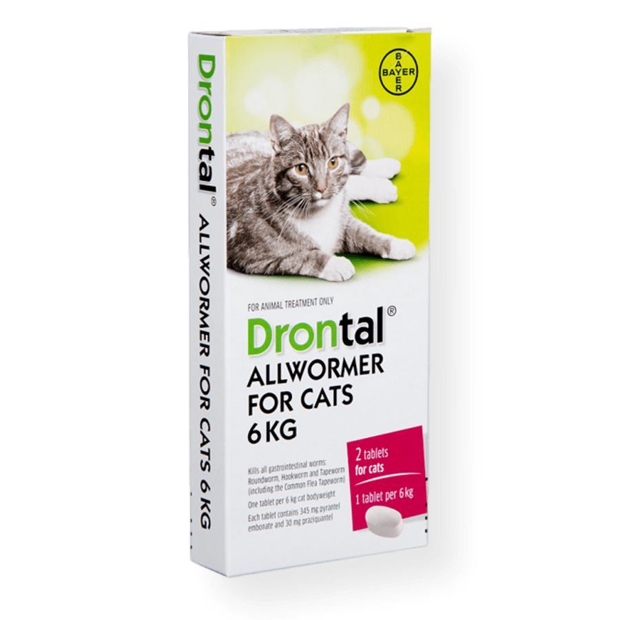 Drontal® Allwormer for Cats & Kittens - 2 Pack