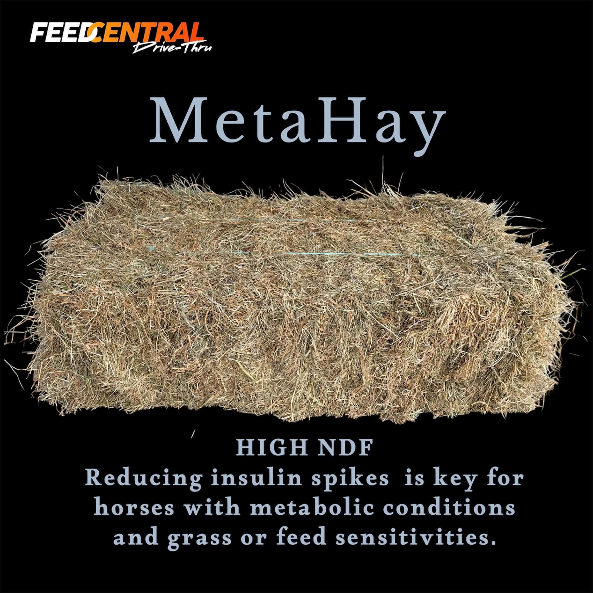 BULK BUY 14 BALES Meta Hay for sensitive horses