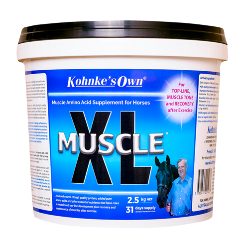 Muscle XL®