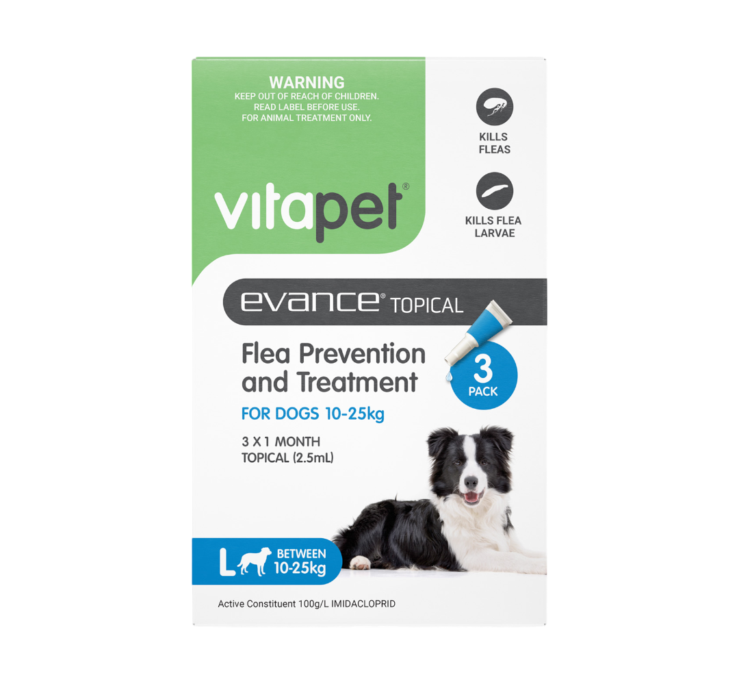 Evance Flea Treatment for 10-25kg Dogs