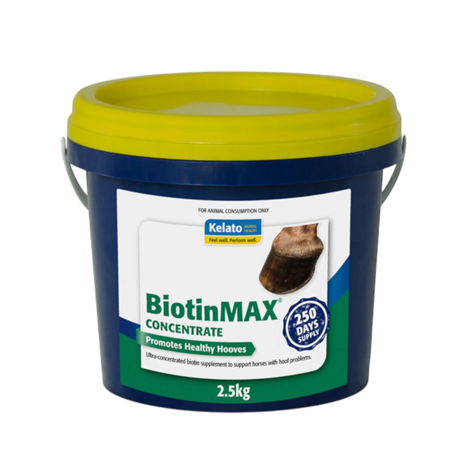 BiotinMAX Concentrate 2.5kg