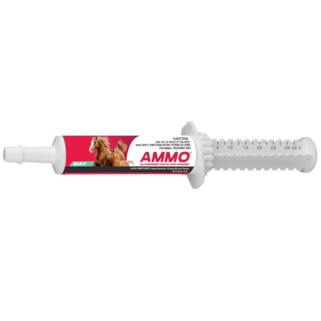 Ammo Allwormer Paste for Equine