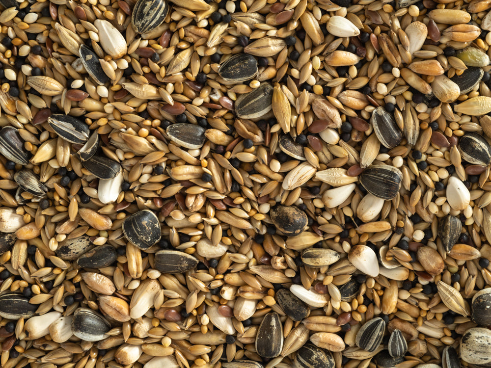 Aviary Mix 20kg