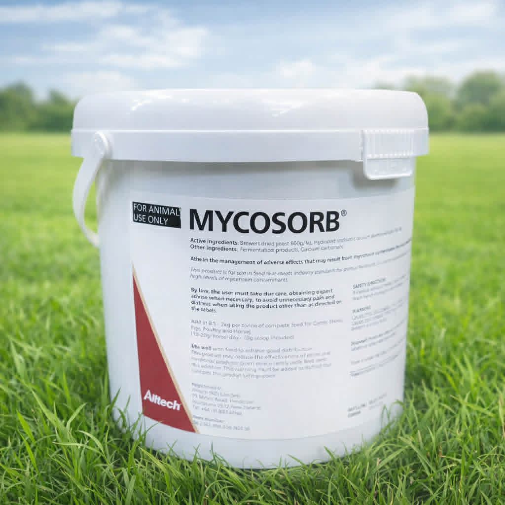 Mycosorb
