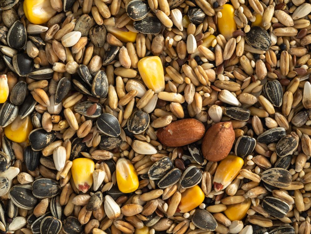 Parrot Mix 20kg