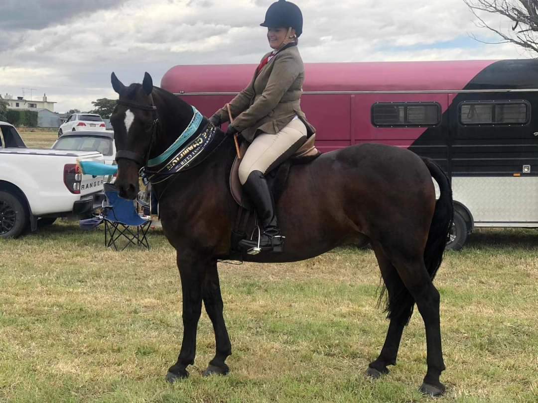 Dark Shine Shampoo 1L